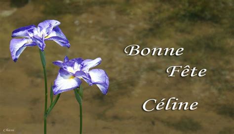 Bonne fête Céline .